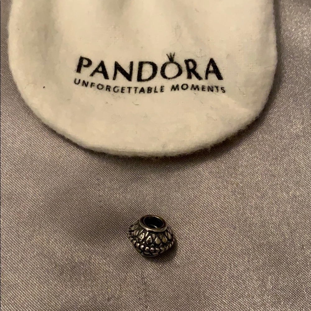 Pandora Silver Spacer